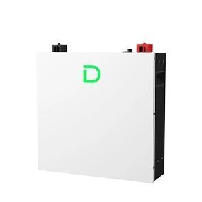 Dyness DL5.0C PRO 51.2В 5.12 кВт&bull;год 100А з підігрівом Wi-Fi модулем Літієва акумуляторна батарея FRT-31375 фото