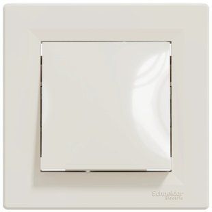 Schneider Electric Asfora EPH0400123 Перемикач одноклавішний самозатискний FRT-77249 фото