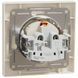 Schneider Electric Asfora EPH3100123 Розетка із кришкою, із заземленням FRT-64795 фото 2